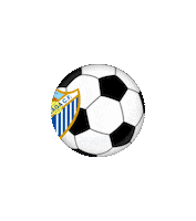 football futbol Sticker