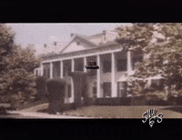 Snuls serie belgique les snuls belge GIF