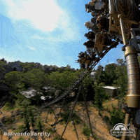 silverdollarcity spinning ride park dizzy GIF