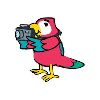 Macaotech honduras development elearning sofware Sticker