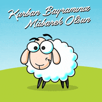 Kktc GIF by remax plus 2