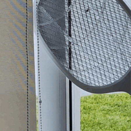 ricolas12345 giphygifmaker GIF