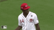 Baseball Mlb GIF by Cincinnati Reds