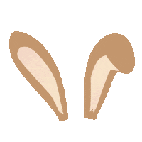 Spring Bunny Sticker by zandraart