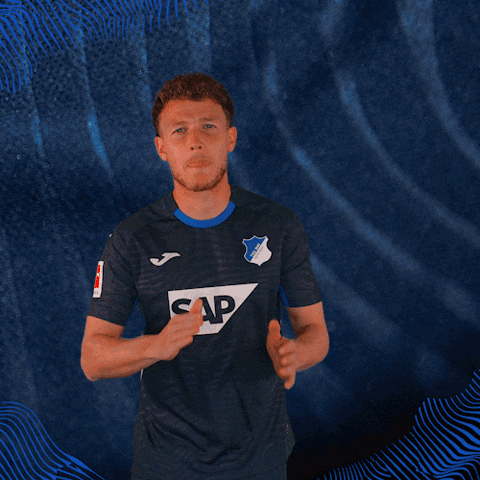 Sport Bundesliga GIF by TSG Hoffenheim