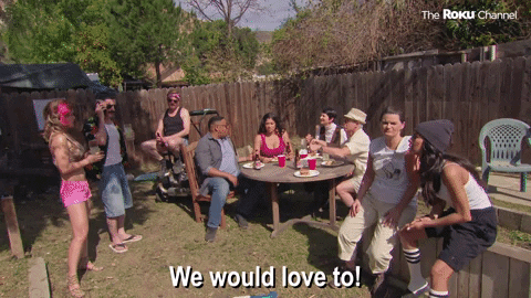 Reno 911 GIF by The Roku Channel