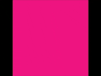 Dog Pink GIF by ArmyPink