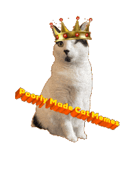 Funny Cat Sticker