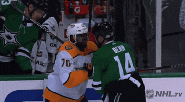 ice hockey hug GIF by NHL