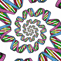 animation loop GIF by Psyklon