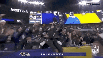 Regular Season Football GIF by NFL