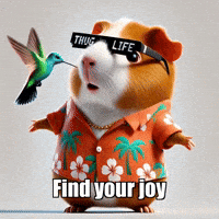 GIF by Guinea Gambino
