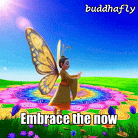 Dance Sun GIF by BuddhaFlyJourney