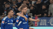Happy Football GIF by FC Schalke 04