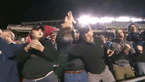 football fans GIF by Ottawa REDBLACKS
