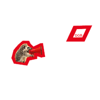 Hedgehog Dgb Sticker by Deutscher Gewerkschaftsbund (DGB)