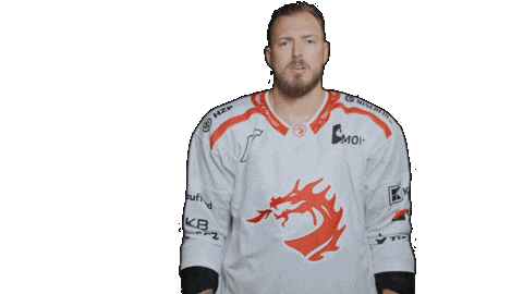 Trinec Sticker by HC Oceláři Třinec