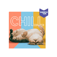 supercat_peru cat chill relax gato Sticker