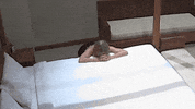 Pray Temptation Island GIF by RTL