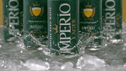 beer imperio GIF by Cerveja Império