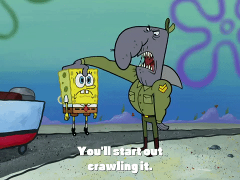season 4 krusty towers GIF by SpongeBob SquarePants