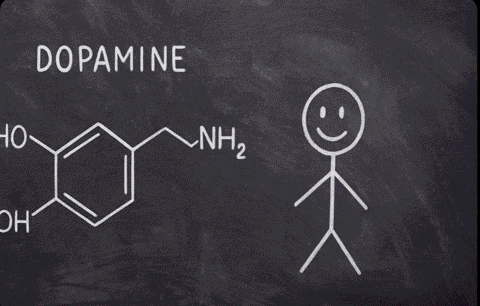 Chainsawdoggyzzz GIF