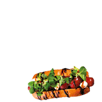 Hot-Dog Burger Sticker by PremierFOOD