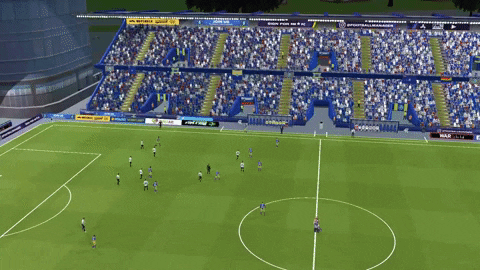 CeljeCastillo giphyupload GIF