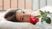 Dakywo rosa santjordi davidtangarife GIF