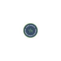 Education Flashing Sticker by Informed Rider Coaching