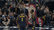 lance stephenson celebration GIF by NBA