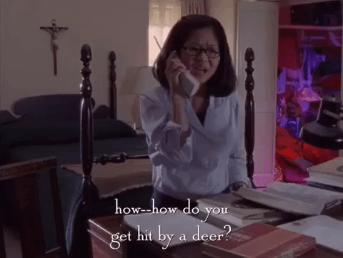 season 1 netflix GIF by Gilmore Girls 