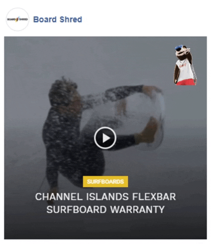 surfboard warranty GIF by Gifs Lab