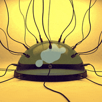 loop body GIF by steamlog