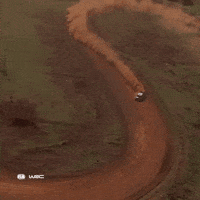 Drift Dust GIF by FIA World Rally Championship