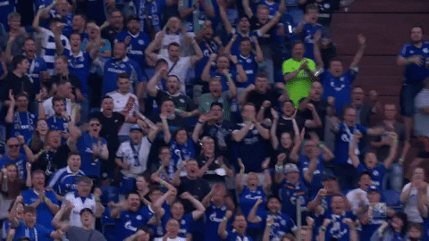 Veltins Arena Football GIF by FC Schalke 04