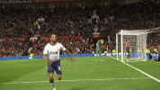 GIF by Tottenham Hotspur