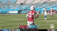 Regular Season Football GIF by NFL