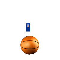 New York Knicks Basketball Sticker by Camp Chipinaw