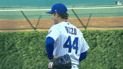 Regular Season Sport GIF by MLB