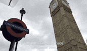 Venice2Venice hot crypto nft london GIF