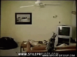 GIF by Demic