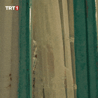 Look See GIF by TRT