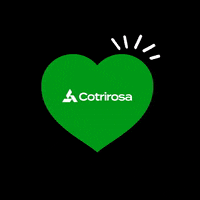cotrirosa cotrirosa GIF