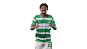 Football Yes Sticker by SpVgg Greuther Fürth