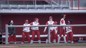 houston cougars GIF by Coogfans