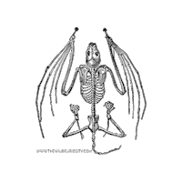 Natural History Halloween Sticker by The Wild Curiosity
