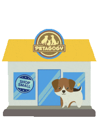 petagogy pittsburgh pet store petagogy Sticker