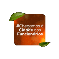 Bosque Da Cidade Sticker by wrengenharia