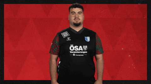 Fc Magdeburg Football GIF by Bundesliga